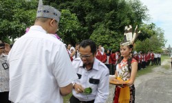IMG_1490 IMG_1490