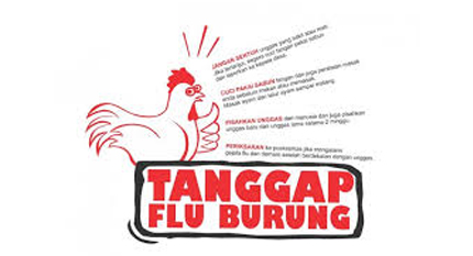 Menkes Minta Masyarakat Waspada Flu Burung Menkes Minta Masyarakat Waspada Flu Burung